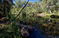 Little Dandahra Creek, near Mulligans Campground