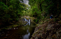 Waterfall, West Canungra Creel