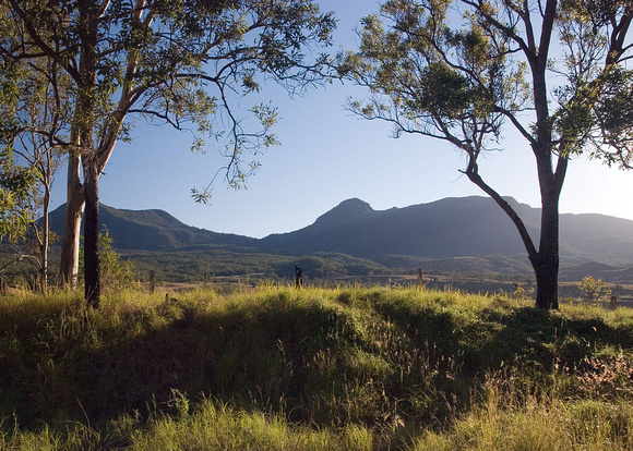 Cunninghams Gap from the East