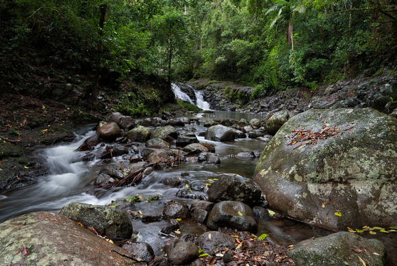 Canungra Creek, West Branch