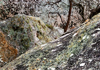 Granite Boulders, Donnelly's Castle