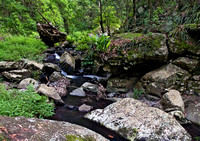 Dalrymple Creek, Cascades Track