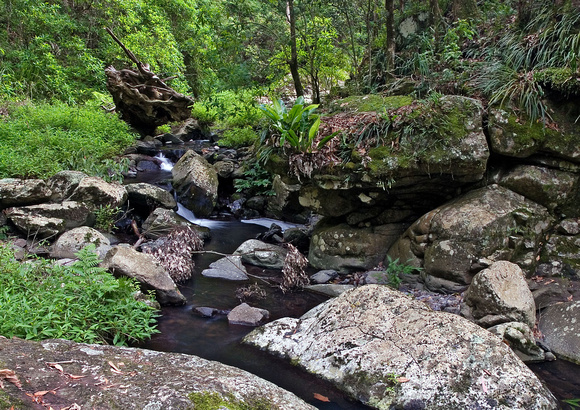 Dalrymple Creek, Cascades Track