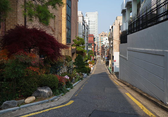 Garden in Narrow street, Gangnam