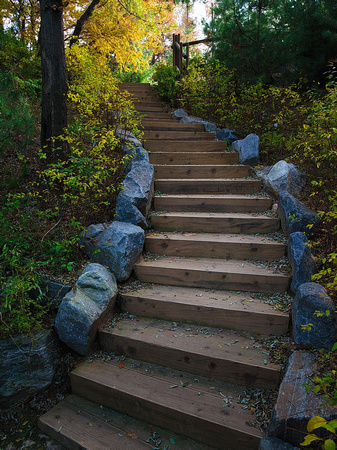 Stairway in a park