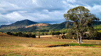 Little Widgee Mountain from Darlington Connection Road