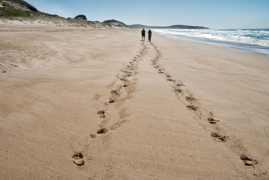 Making Tracks