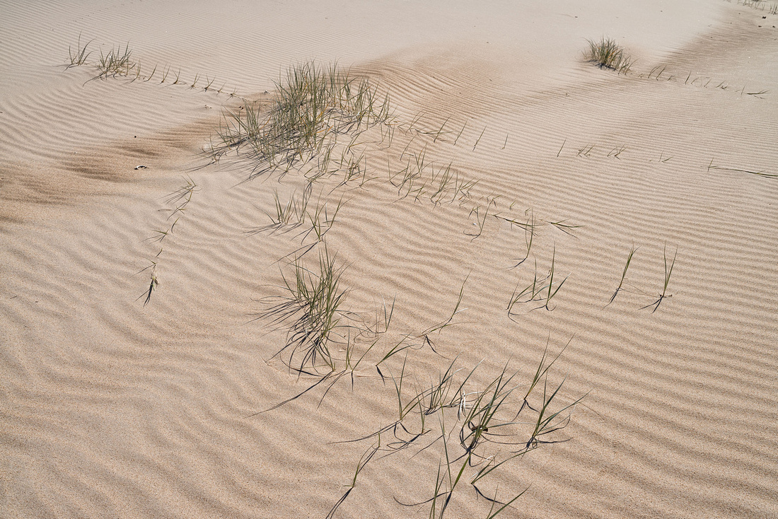 Sand Dunes on Wooli Beach