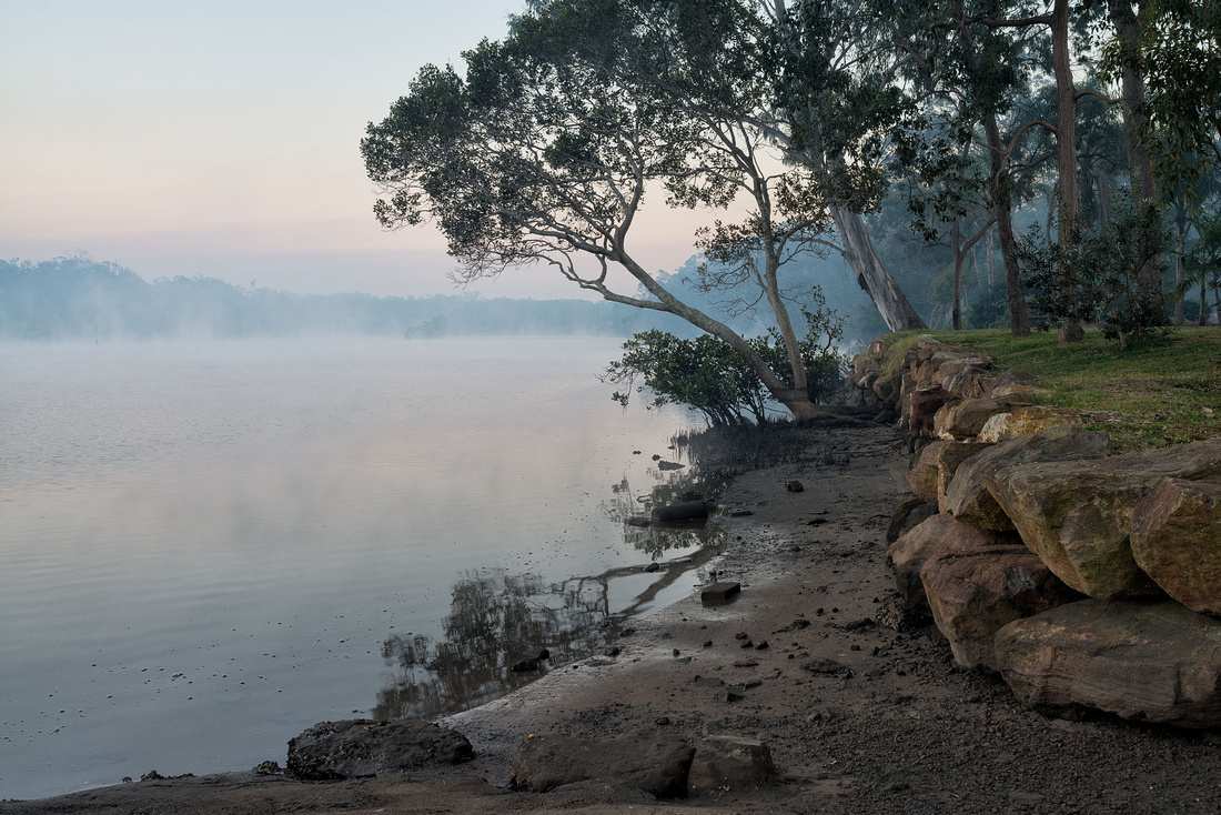 Early morning mist on the Wooli Wooli river