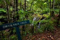 Small Waterfall and Signpost, Albert River Circuit, Lamington National Park