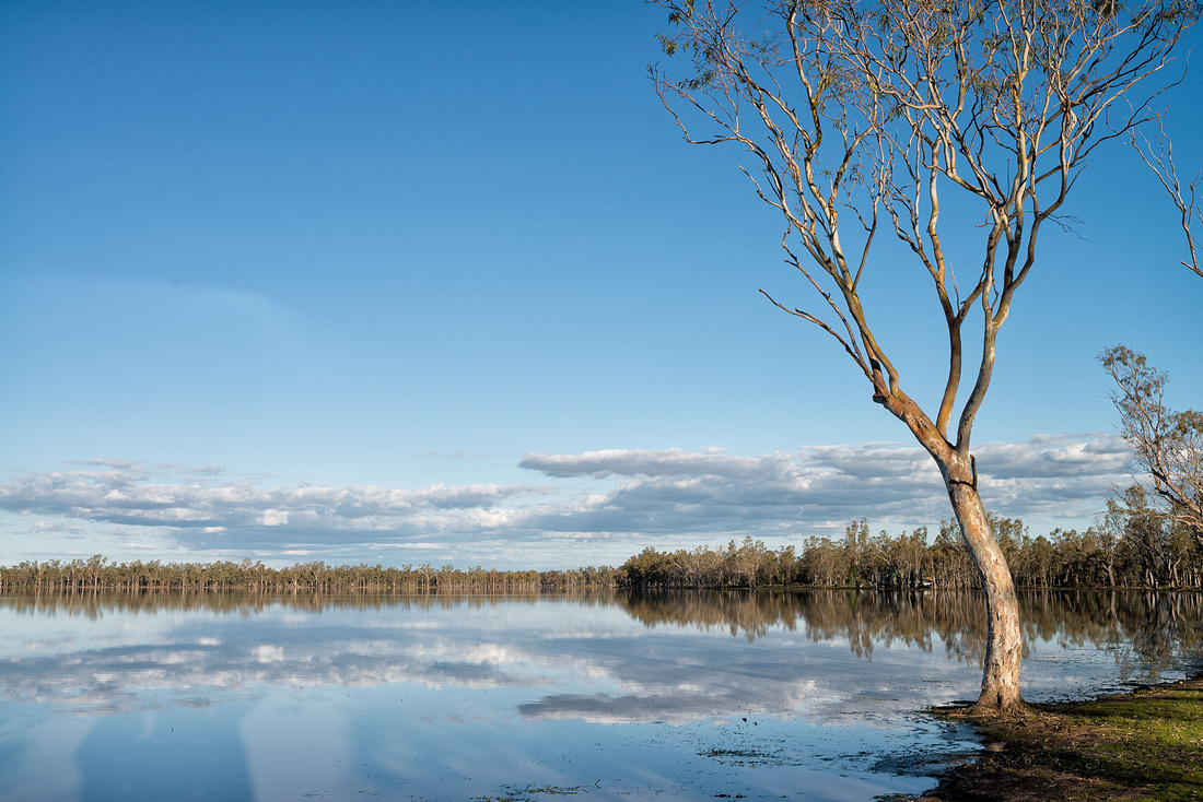 Lake Broadwater in the afternoon light