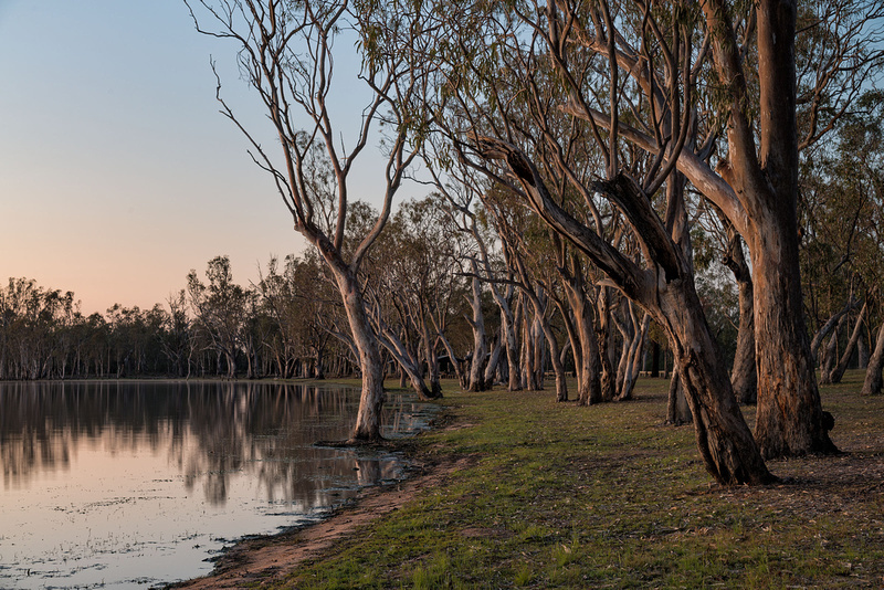 Lake Broadwater at Sunrise