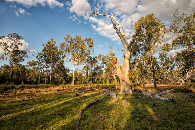 Around Lake Broadwater