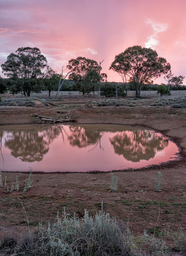 Approaching Shower, Mungallala