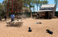Outback Show, Stockman's Hall of Fame, Longreach
