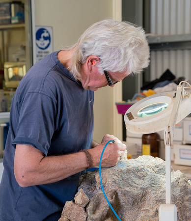 Volunteers working on Fossils, Age of Dinosaurs Museum, Winton
