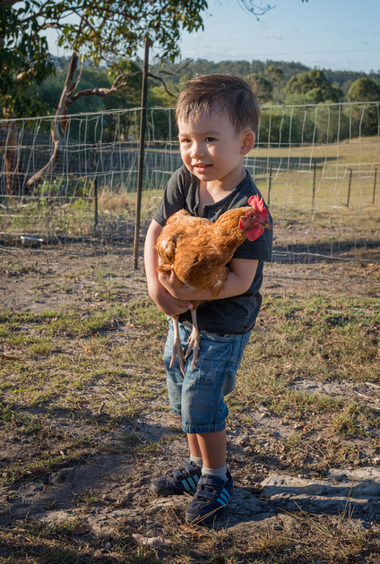 Drew Holding a Chicken