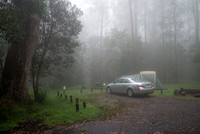 Misty campground, New England National Park