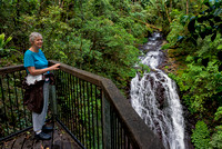 Bev at Brushbox Falls, Border Ranges National Park