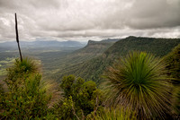 The Pinnacle Lookout, Border Ranges National Park