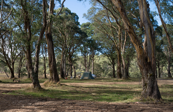 Polblue Campground, Barrington Tops National Park