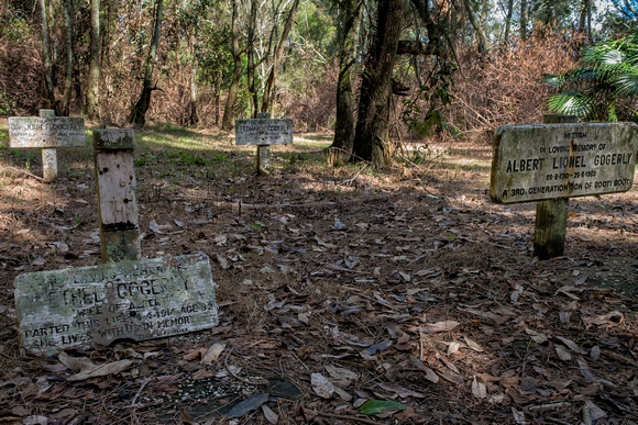 Graves near Lakeside Track, Booti Booti National Park