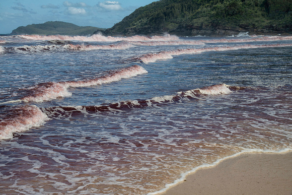 Sea discoloured by red algae