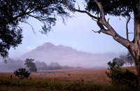 Mt Barney on a misty morning
