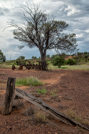 Old fence and tree, Mungallala
