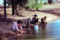 Sandra, Rowan, Sam and Graeme catching crayfish