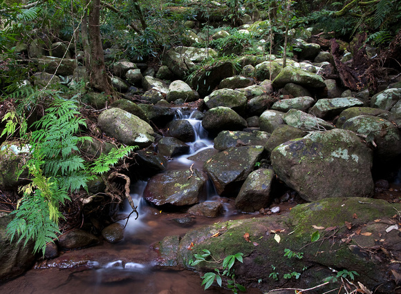Small stream near Picnic Rock