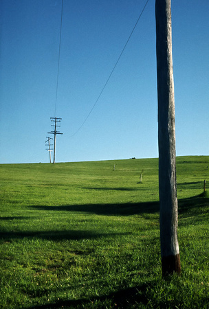Utility Poles, Beechmont