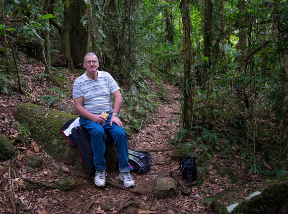 Lunch Stop, Box Forest Track, Lamington National Park