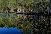 Lake at Underwood Park