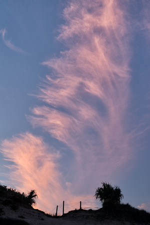 Sunset Clouds, Bandjalung National Park