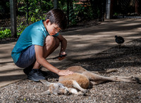 Drew with a Kangaroo