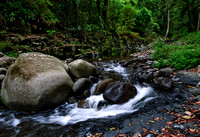 Cascades, Canungra Creek