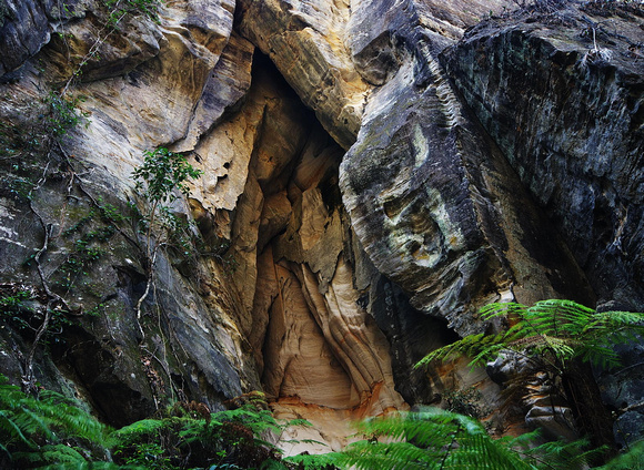 Cave, Ward's Canyon