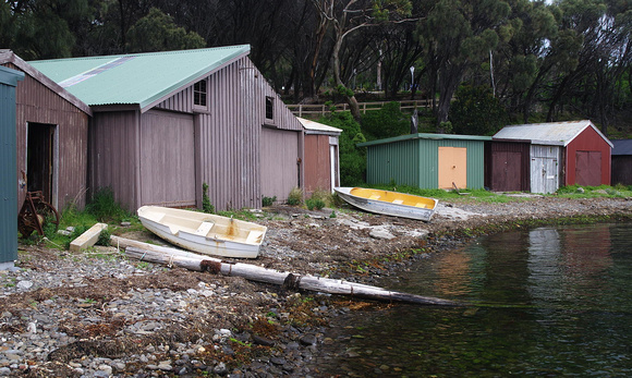 Huts near Tasman Blowhole