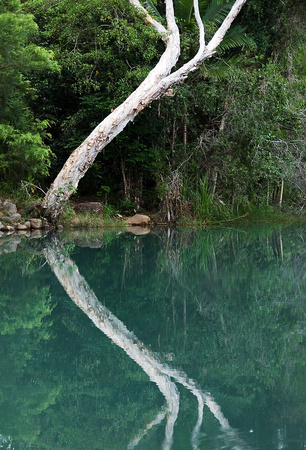 Stony Creek Reflection