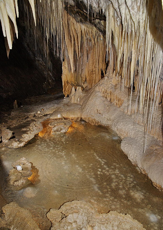 Marakoopa Cave, Mole Creek Karst National Park
