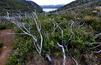 Cape Hauy Walk,  Tasman National Park