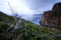 Looking South to Cape Pillar from Cape Hauy Track