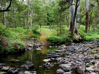 Dalrymple Creek