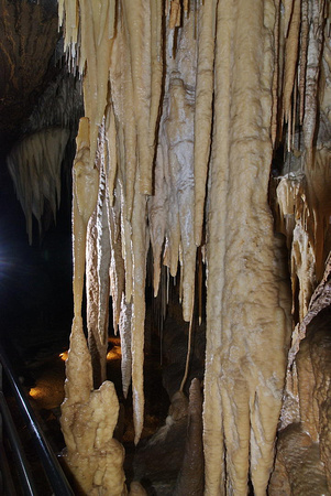 Marakoopa Cave, Mole Creek Karst National Park
