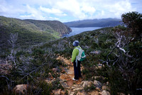 Looking back to Fortescue Bay from Cape Hauy track