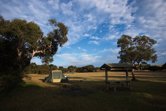 Gemini Downs Campsite, near Salt Creek, South Australia