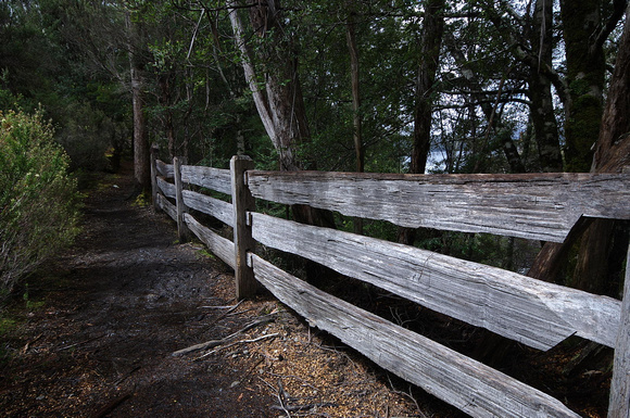 Split-rail Fence, Lake St Clair