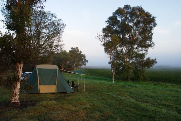 Misty Morning, Hacks Lagoon, South Australia